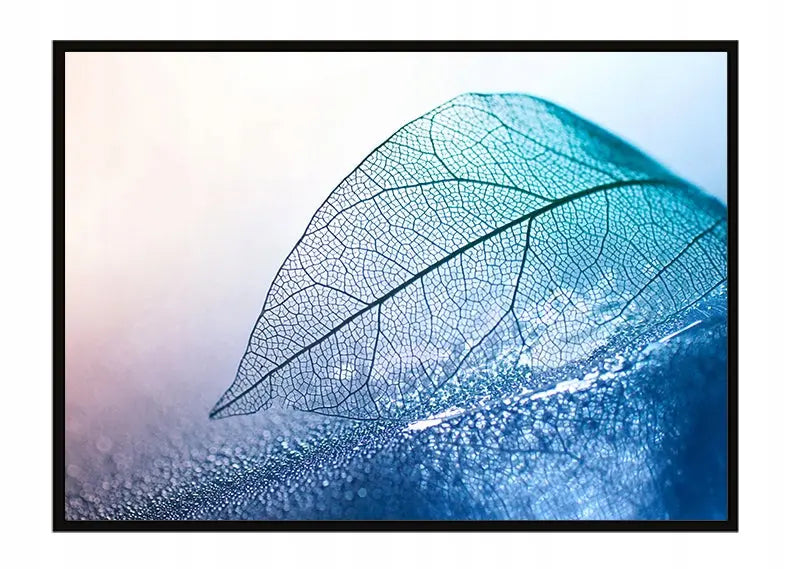 Plakat Liść 53x73 cm  ForWalls.eu