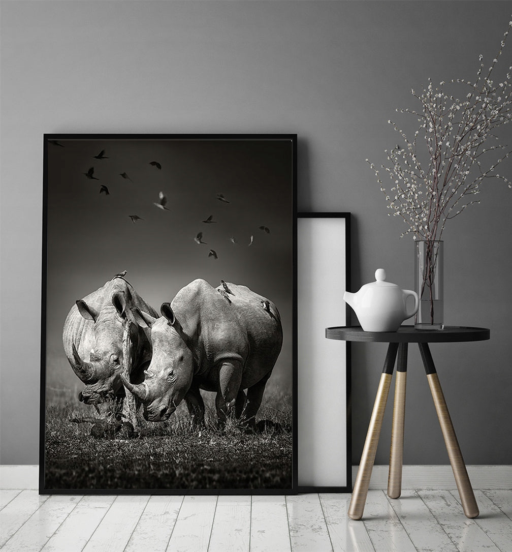 Plakat Nosorożce 33x43 cm  ForWalls.eu