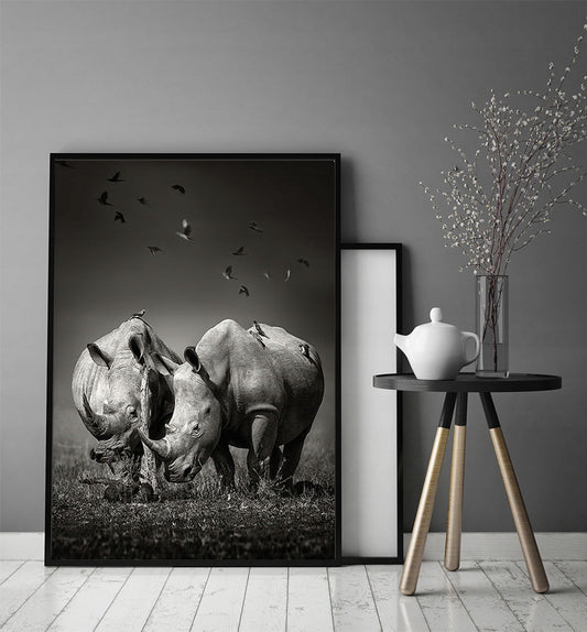 Plakat Nosorożce 33x43 cm  ForWalls.eu