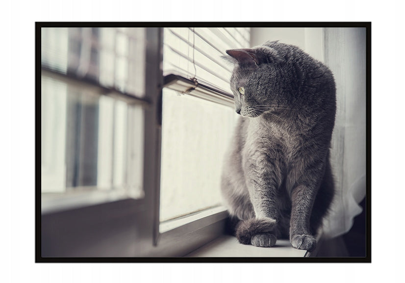 Plakat Kot 33x43 cm  ForWalls.eu