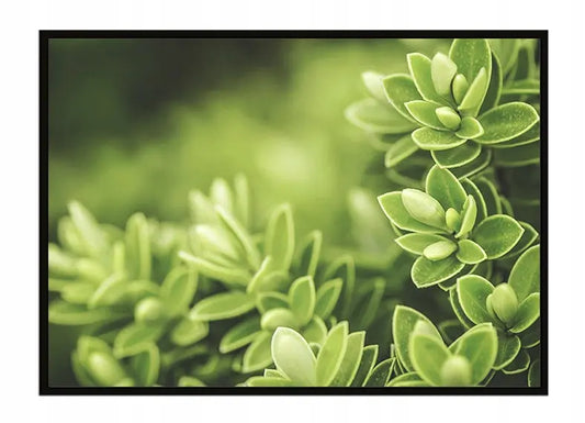Plakat Liście 53x73 cm  ForWalls.eu