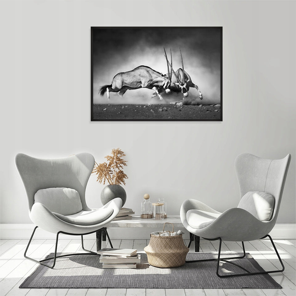 Plakat Antylopy 33x43 cm  ForWalls.eu