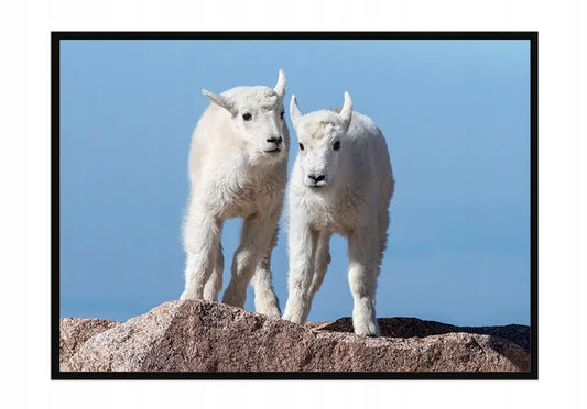 Plakat  33x43 cm  ForWalls.eu