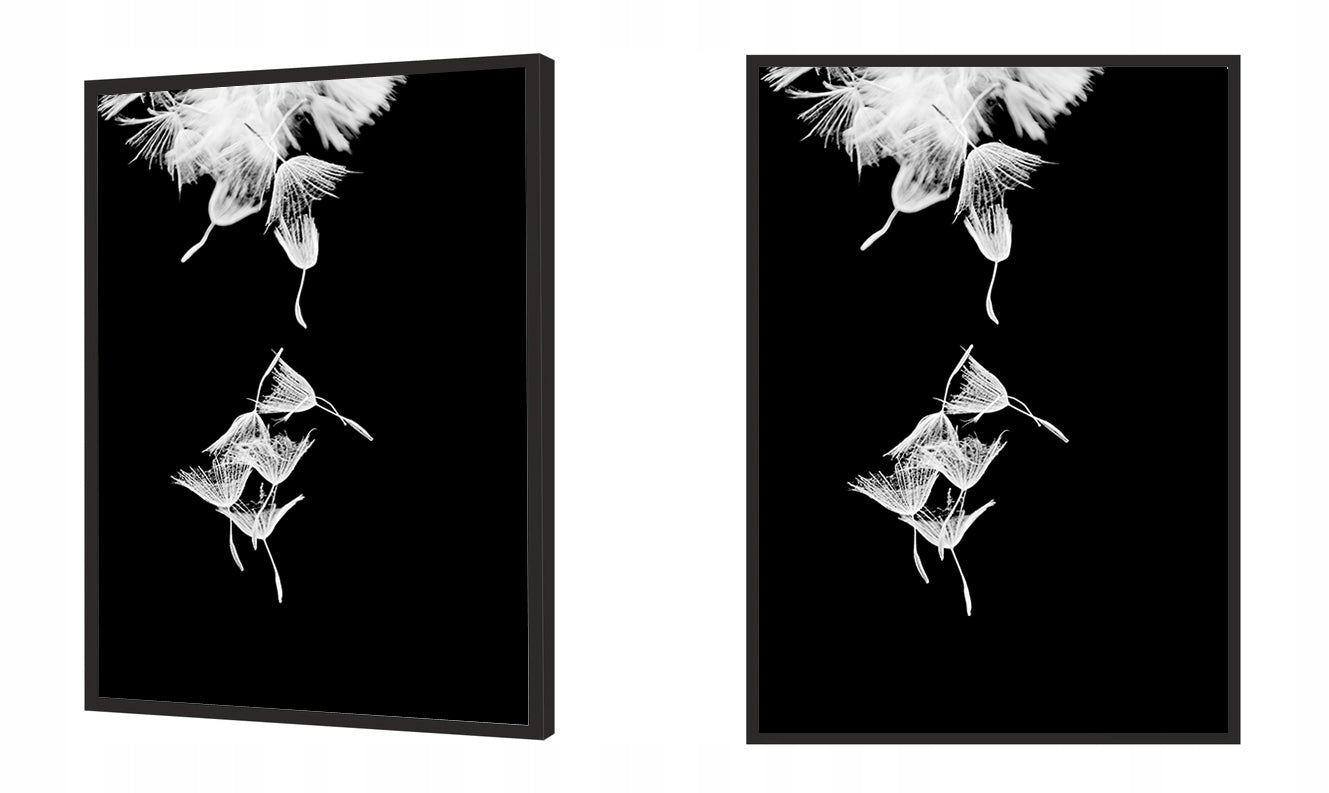 Plakat Dmuchawce 33x43 cm  ForWalls.eu