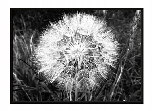 Plakat Dmuchawiec 53x73 cm  ForWalls.eu