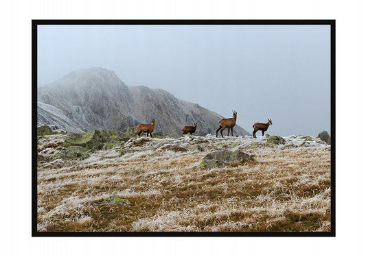 Plakat Góry 33x43 cm  ForWalls.eu