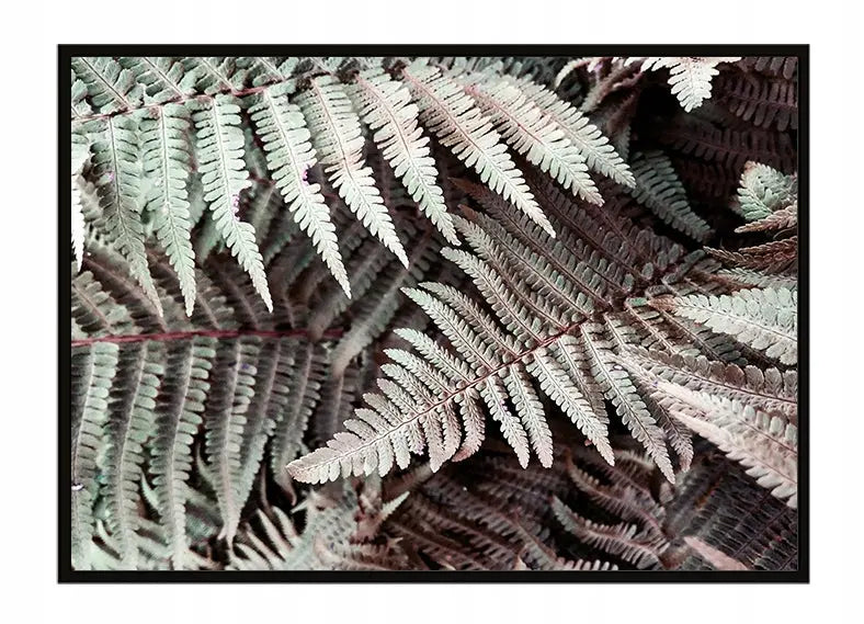 Plakat Liście 53x73 cm - ForWalls.eu