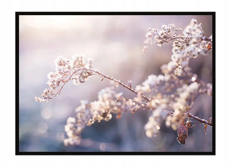 Plakat Gałązka 53x73 cm  ForWalls.eu