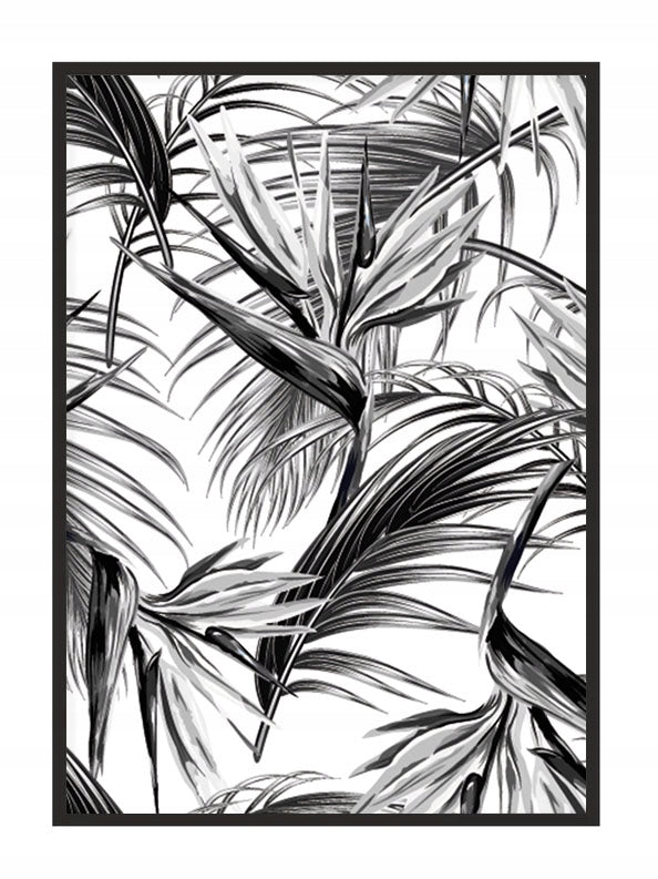 Plakat Liście Palmowe 53x73 cm  ForWalls.eu
