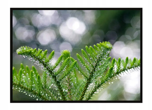 Plakat Liście 53x73 cm  ForWalls.eu