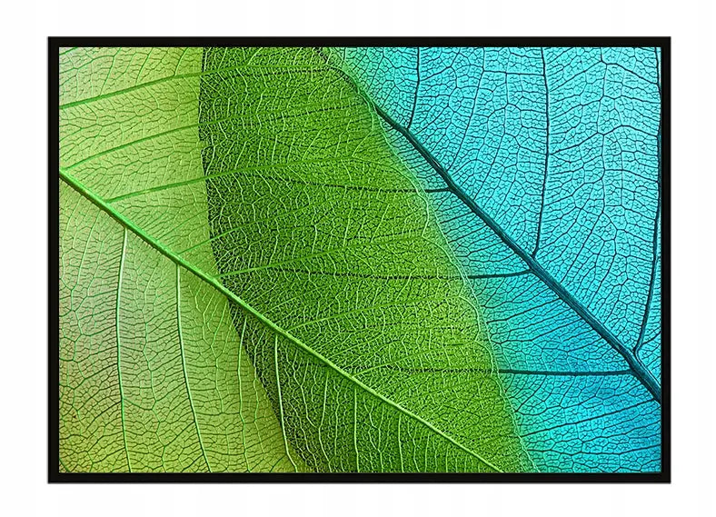 Plakat Liście 53x73 cm  ForWalls.eu