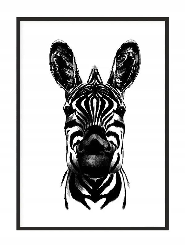 Plakat Zebra 33x43 cm - ForWalls.eu