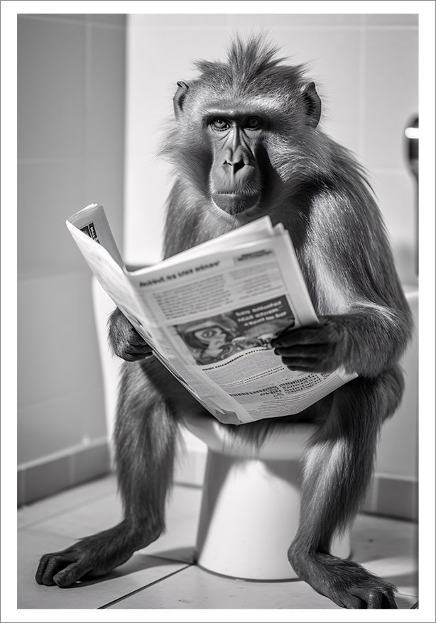 Plakat Małpa Kibel Gazeta  ForWalls.eu