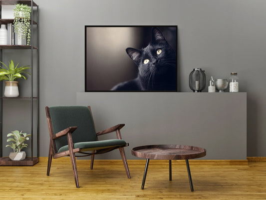 Plakat Kot 33x43 cm  ForWalls.eu