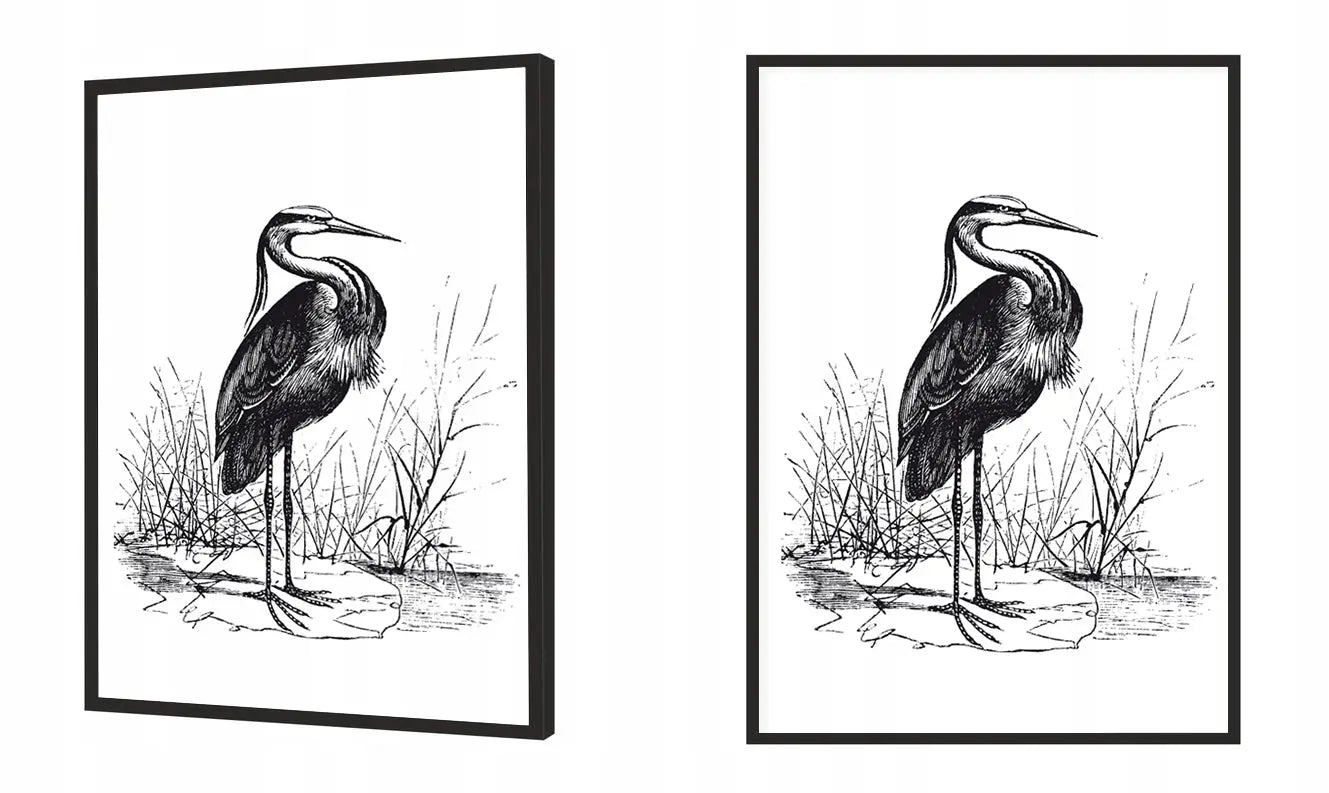 Plakat Czapla 33x43 cm - ForWalls.eu
