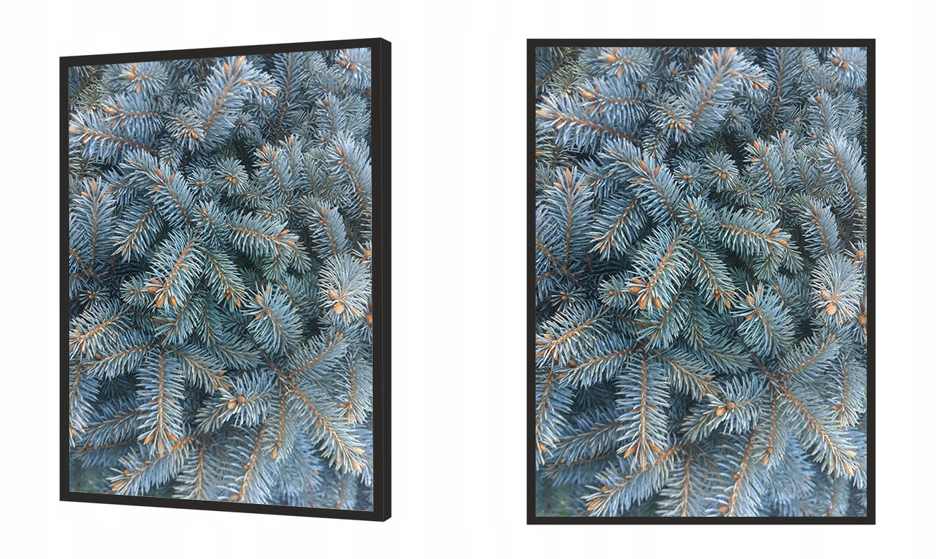 Plakat Choinka 33x43 cm  ForWalls.eu