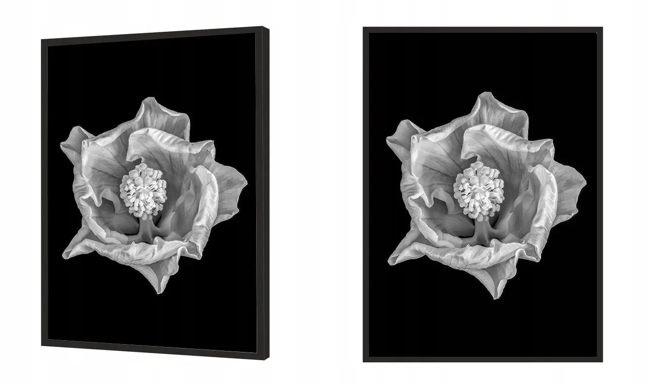Plakat Kwiat 53x73 cm  ForWalls.eu