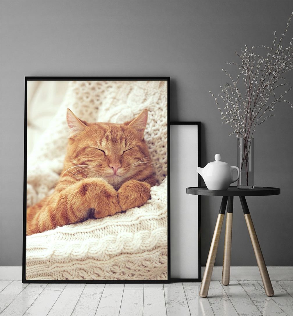 Plakat Kot 33x43 cm  ForWalls.eu