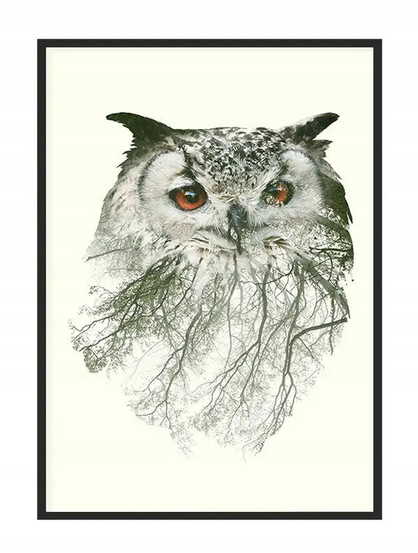 Plakat Sowa 33x43 cm - ForWalls.eu