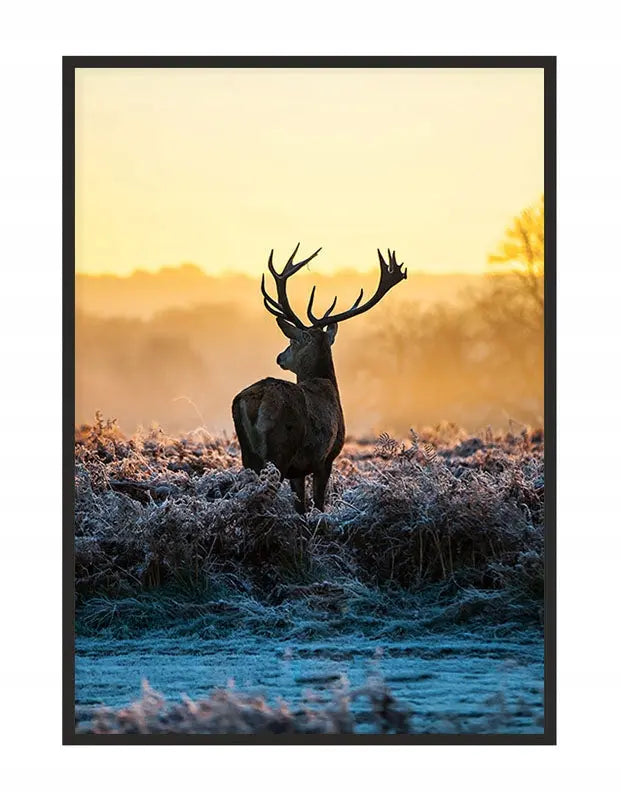 Plakat Jeleń 53x73 cm  ForWalls.eu