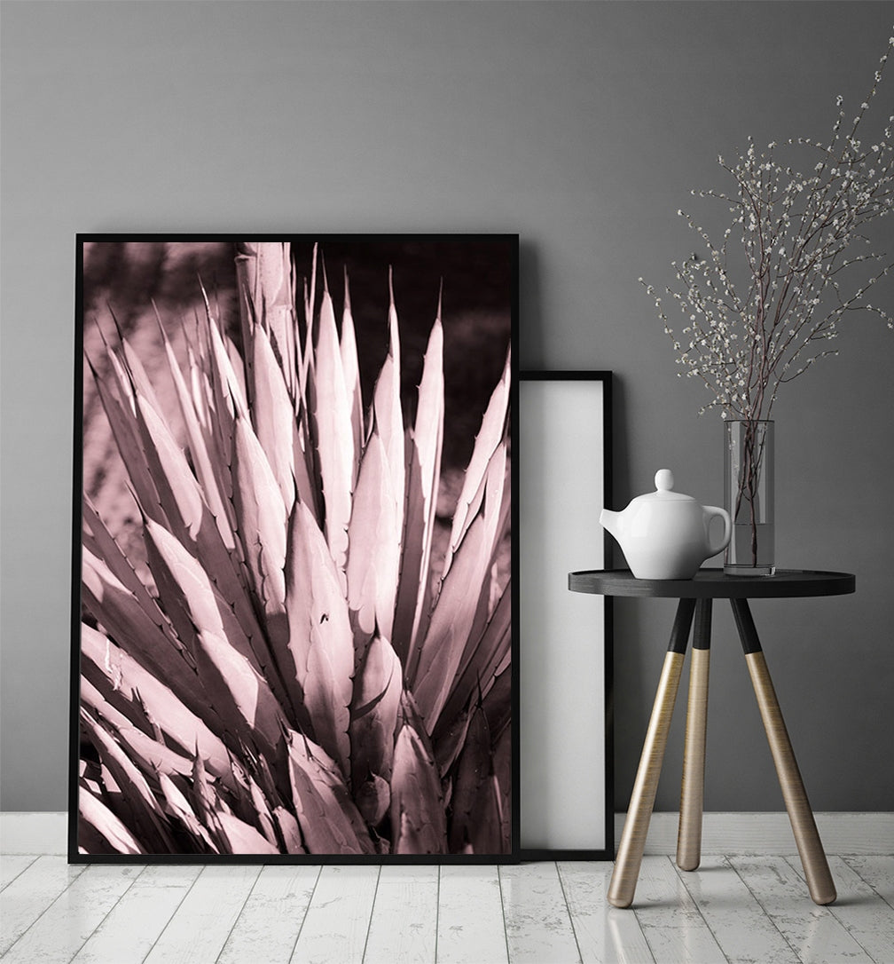 Plakat Sukulent 33x43 cm  ForWalls.eu
