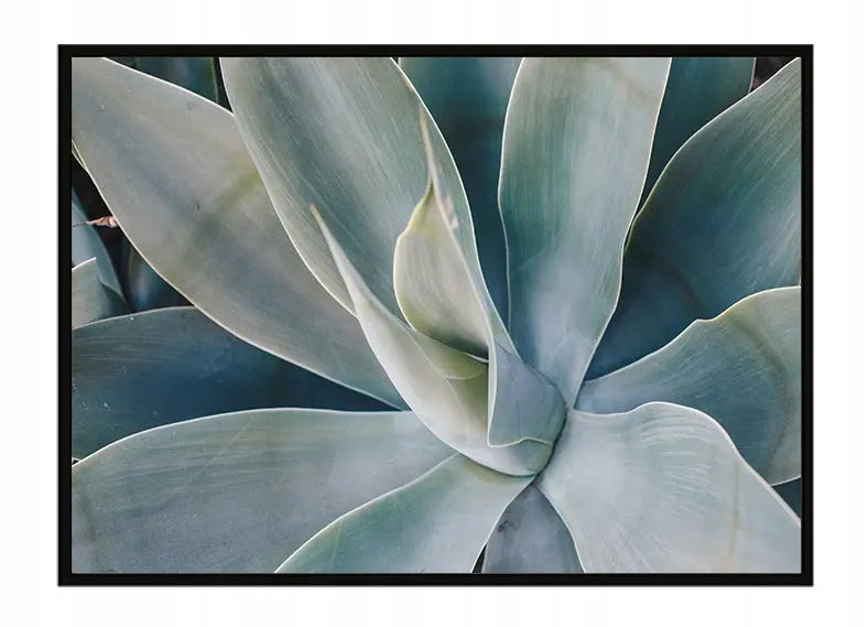 Plakat Liście 53x73 cm  ForWalls.eu