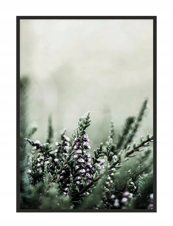 Plakat Łąka 33x43 cm - ForWalls.eu