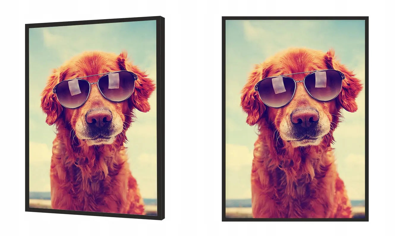 Plakat Pies 33x43 cm - ForWalls.eu
