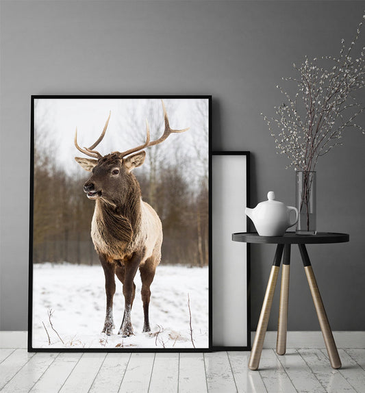 Plakat Jeleń 33x43 cm  ForWalls.eu