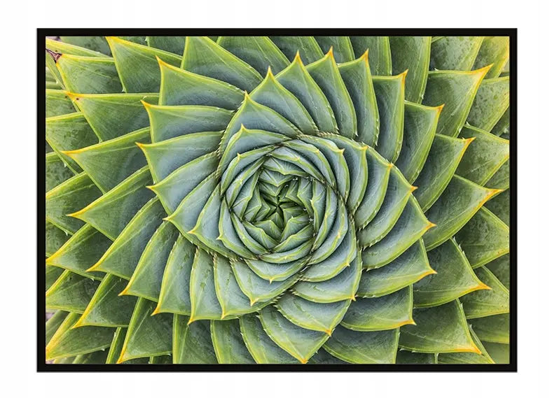 Plakat Liście 53x73 cm  ForWalls.eu
