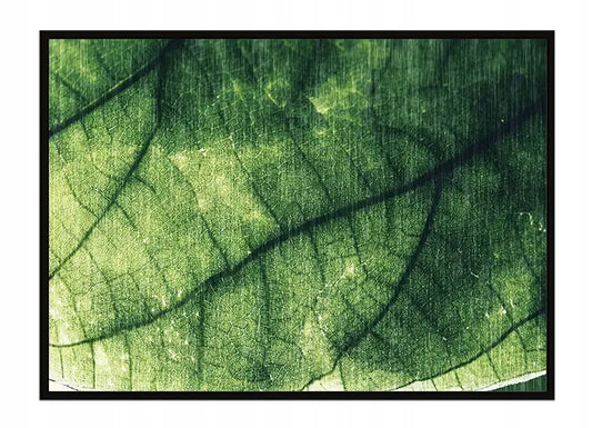 Plakat Liść 53x73 cm  ForWalls.eu