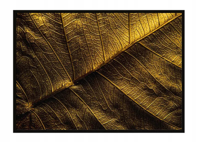Plakat Złoty Liść 53x73 cm - ForWalls.eu