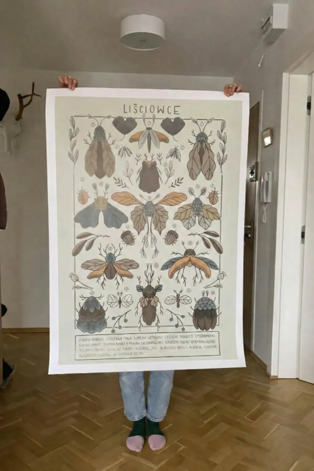 ForWalls.eu - Plakat Liściowce - Minimalist poster featuring symmetrical botanical and insect illustrations in muted earth tones with "Liściowce" title. - Luiza Kwiatkowska, plakat, print