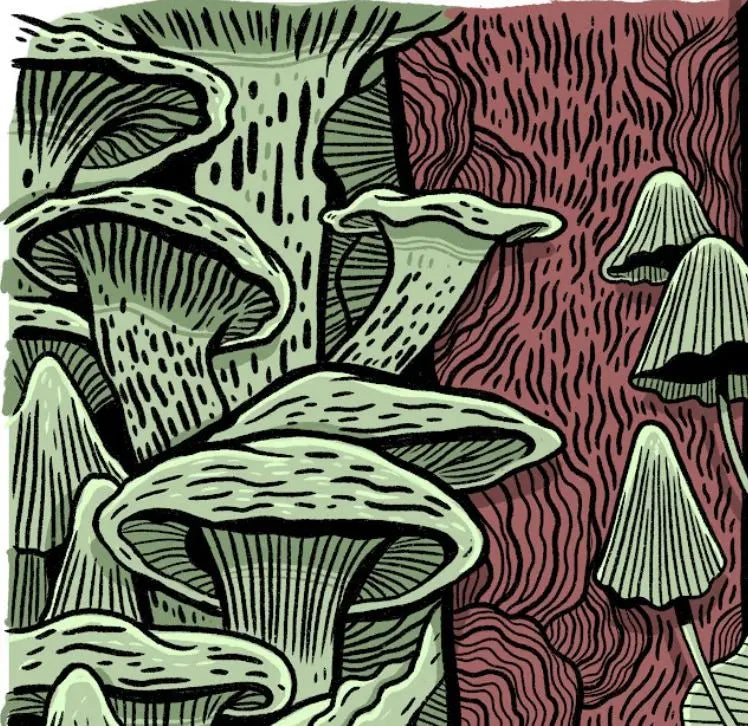 ForWalls.eu - Plakat Grzyby - Minimalist print featuring stylized green and brown mushrooms with textured patterns on a divided background. - Luiza Kwiatkowska, plakat, print
