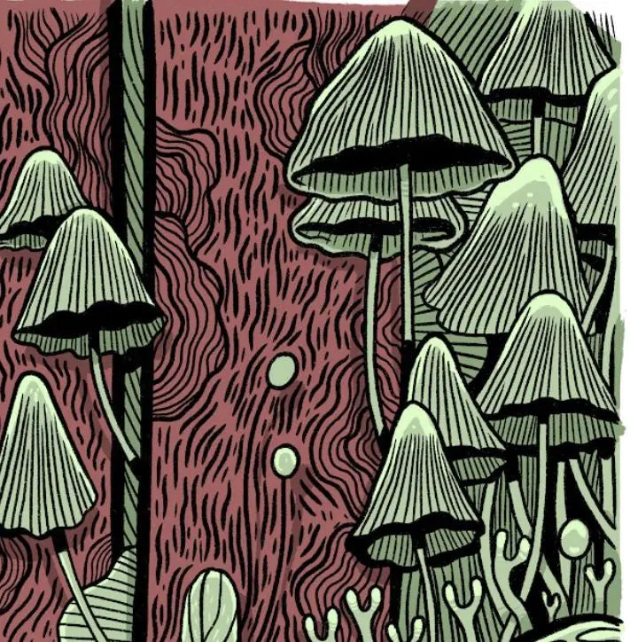 ForWalls.eu - Plakat Grzyby - Minimalist poster featuring stylized green mushrooms with veined caps against a textured dark red wood background. - Luiza Kwiatkowska, plakat, print