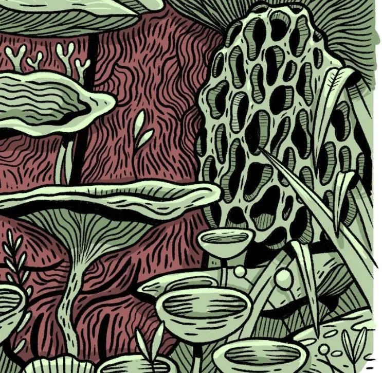 ForWalls.eu - Plakat Grzyby - Minimalist poster featuring detailed green mushrooms and fungi with textured red-brown background and leafy accents. - Luiza Kwiatkowska, plakat, print