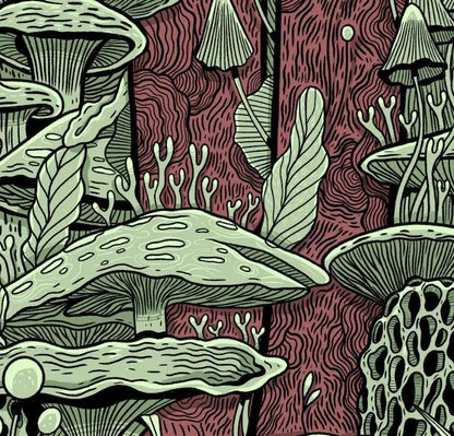ForWalls.eu - Plakat Grzyby - Detailed illustration of various green mushrooms and fungi on a textured dark red background with intricate line patterns. - Luiza Kwiatkowska, plakat, print
