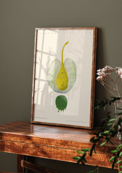 Yellow Dragon | Art Poster by FREZO