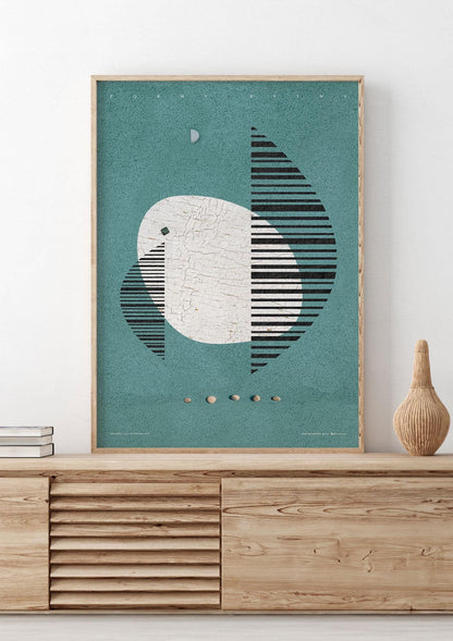 White Dolphin | Art Poster by FREZO