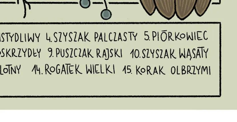 ForWalls.eu - Plakat Liściowce - Close-up of light Corn Crush paper showing black hand-drawn Polish text in a neat, whimsical font on pale green background. - Luiza Kwiatkowska, plakat, print