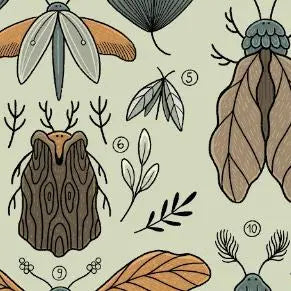 ForWalls.eu - Plakat Liściowce - Minimalist botanical print featuring stylized brown and orange leaves and insects on a pale green background. - Luiza Kwiatkowska, plakat, print