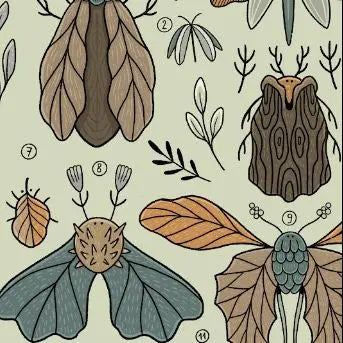 ForWalls.eu - Plakat Liściowce - Minimalist botanical print featuring stylized brown and blue leaf-inspired insects on a pale green background. - Luiza Kwiatkowska, plakat, print
